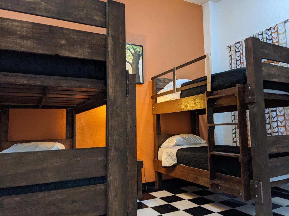 My Family In Monterrey - Hostel Exteriér fotografie